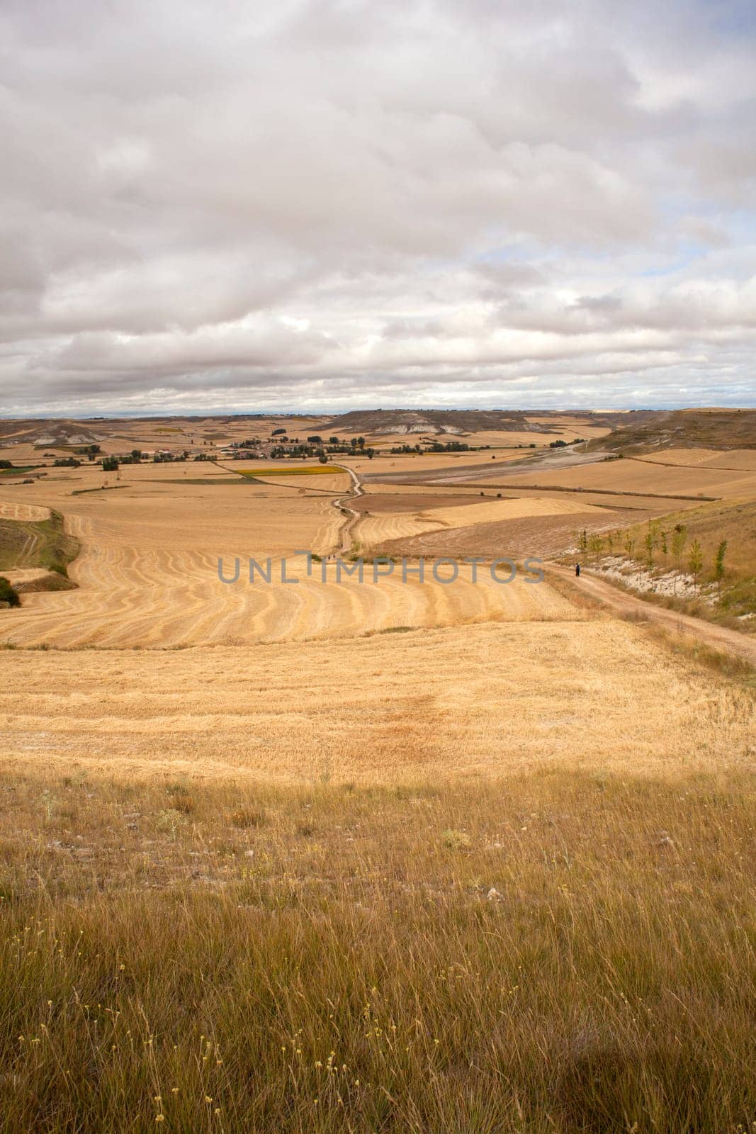 Road in the spanish countryside, way of st. James