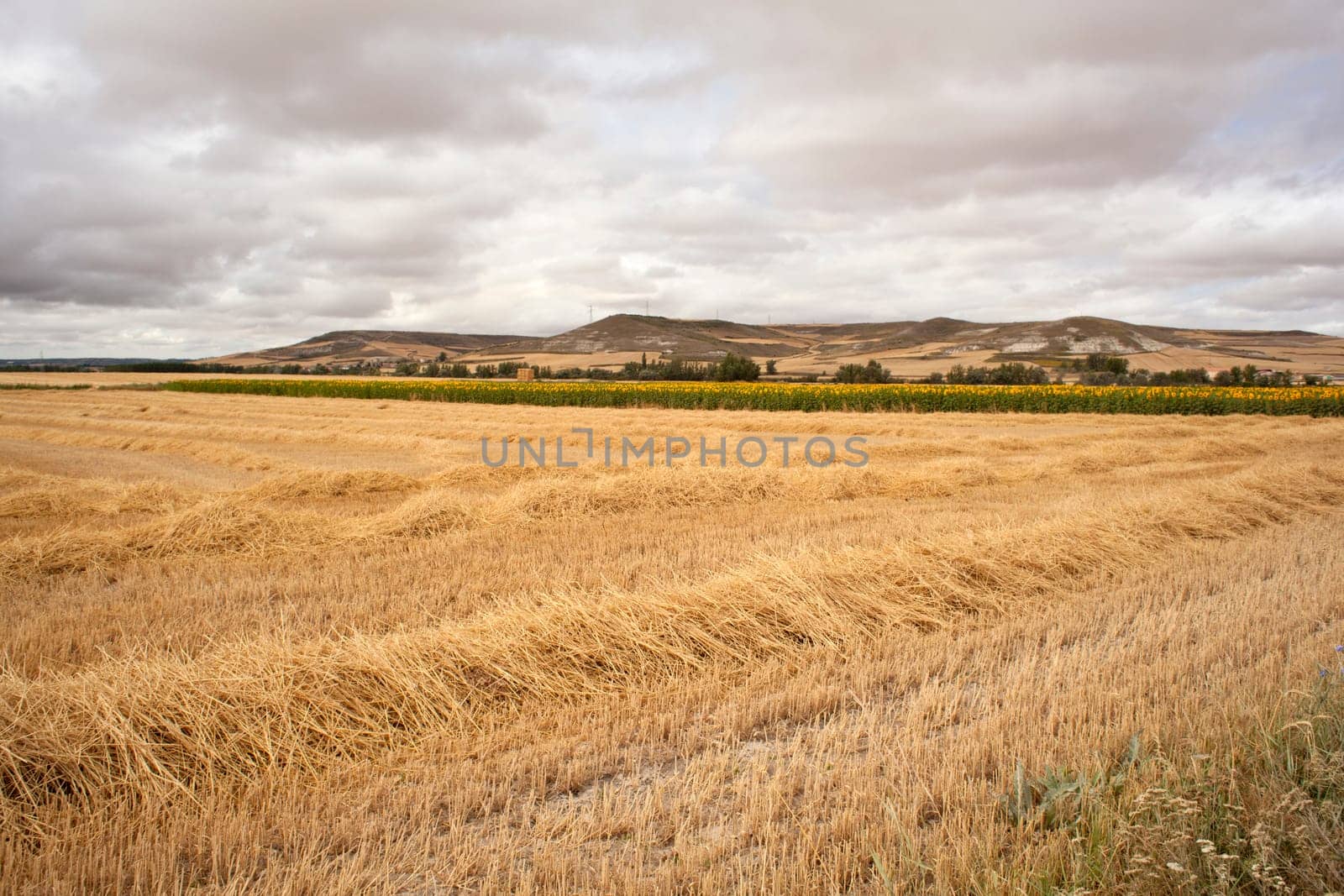View of spanish countryside