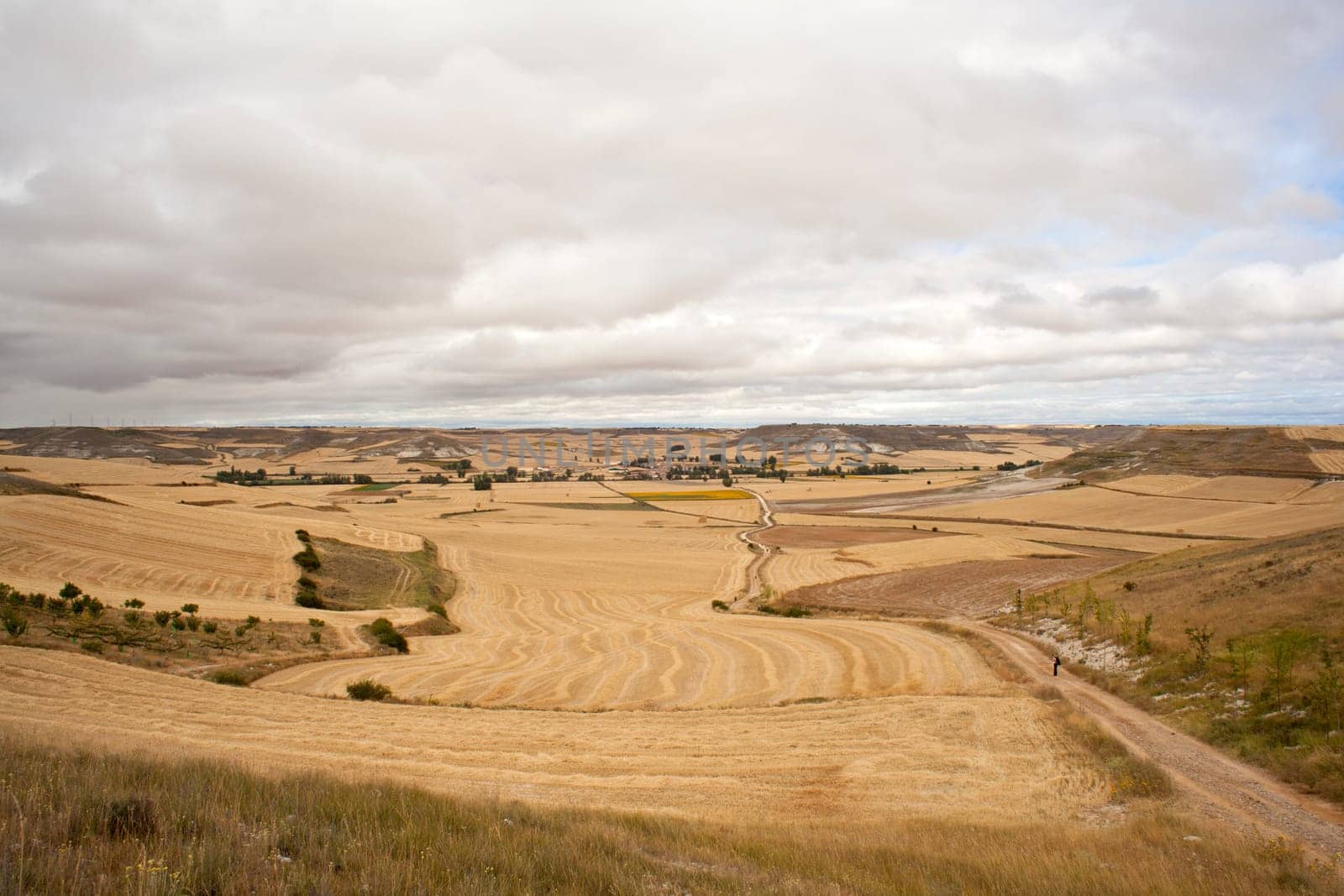 Road in the spanish countryside, way of st. James