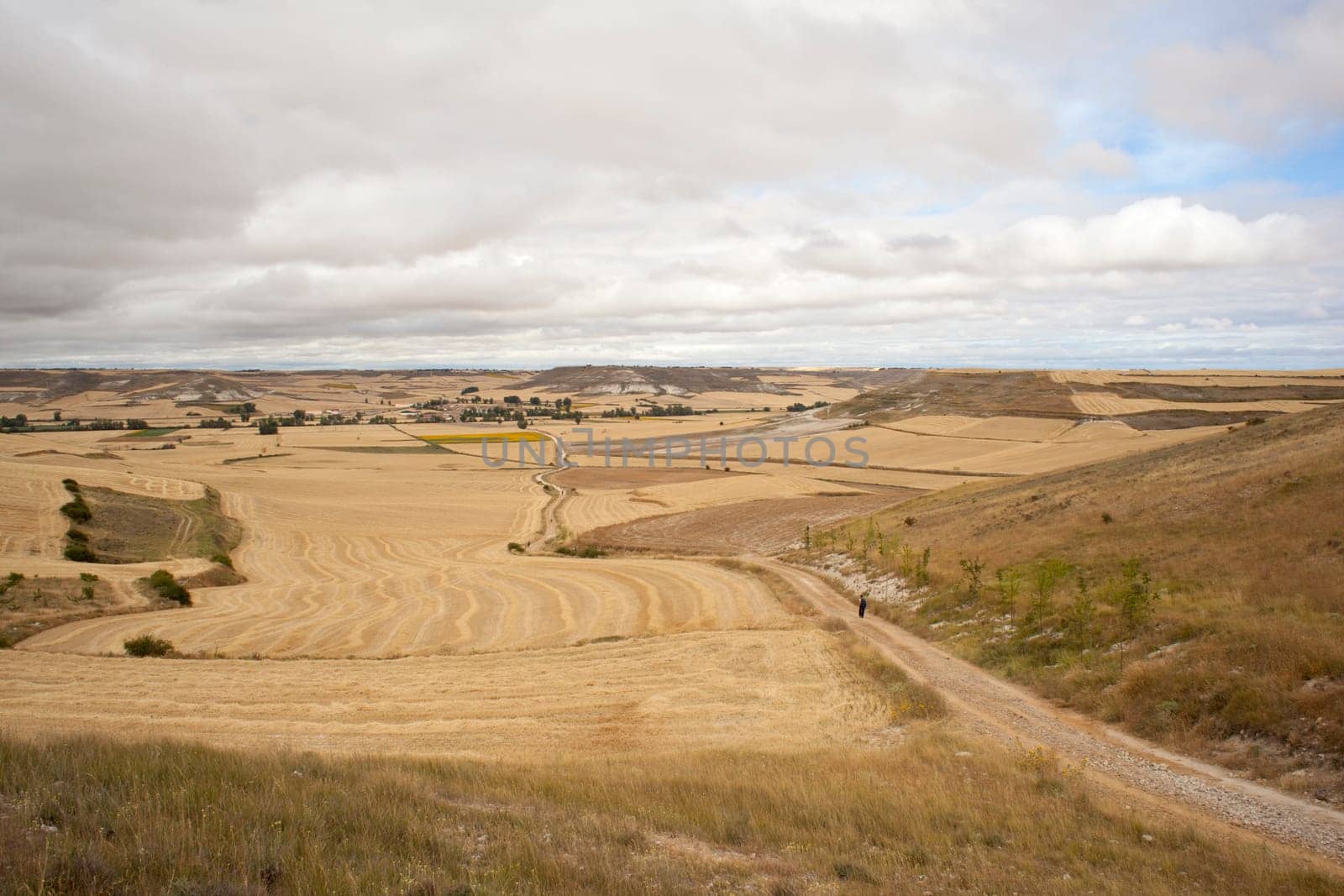 Road in the spanish countryside, way of st. James