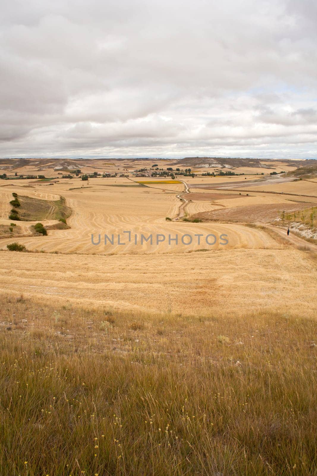 Road in the spanish countryside, way of st. James