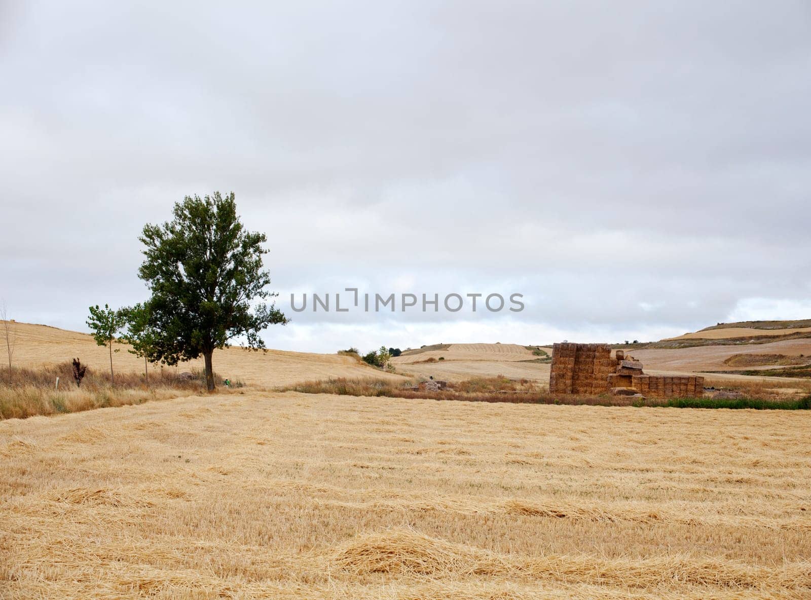 Bales of hay, spanish countryside