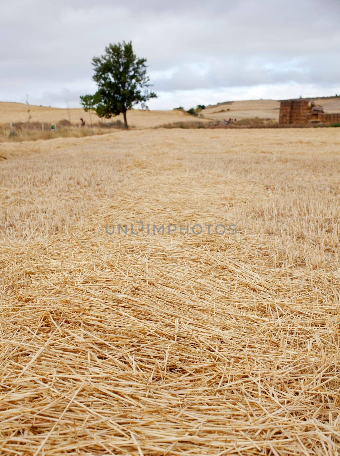 Bales of hay, spanish countryside