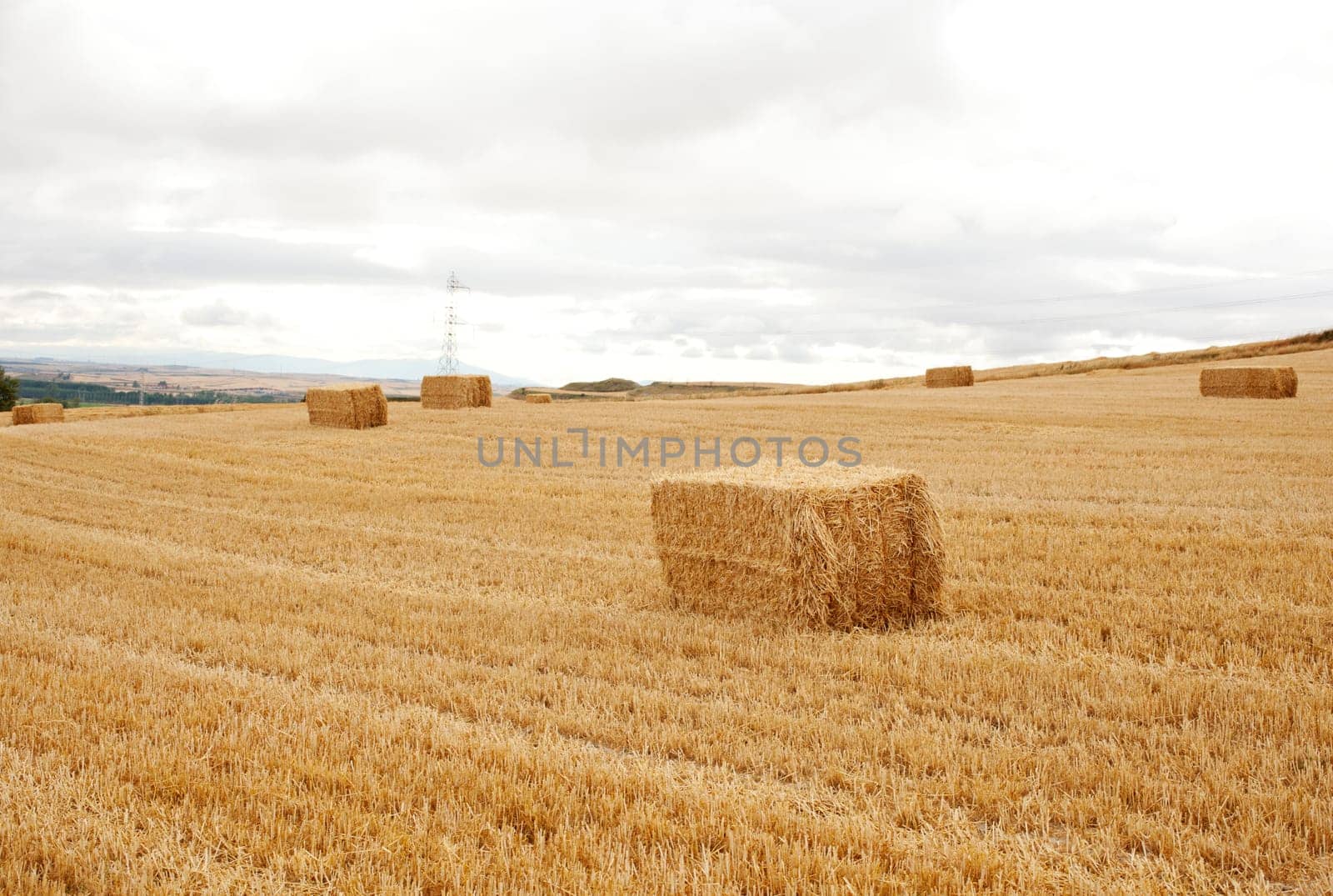 Bales of hay, spanish countryside