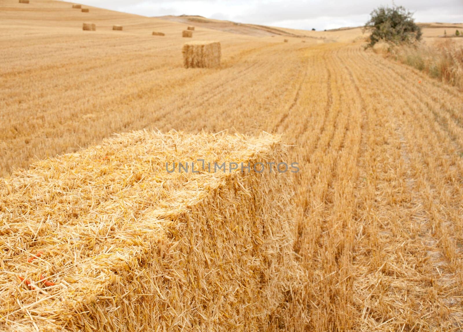Bales of hay, spanish countryside