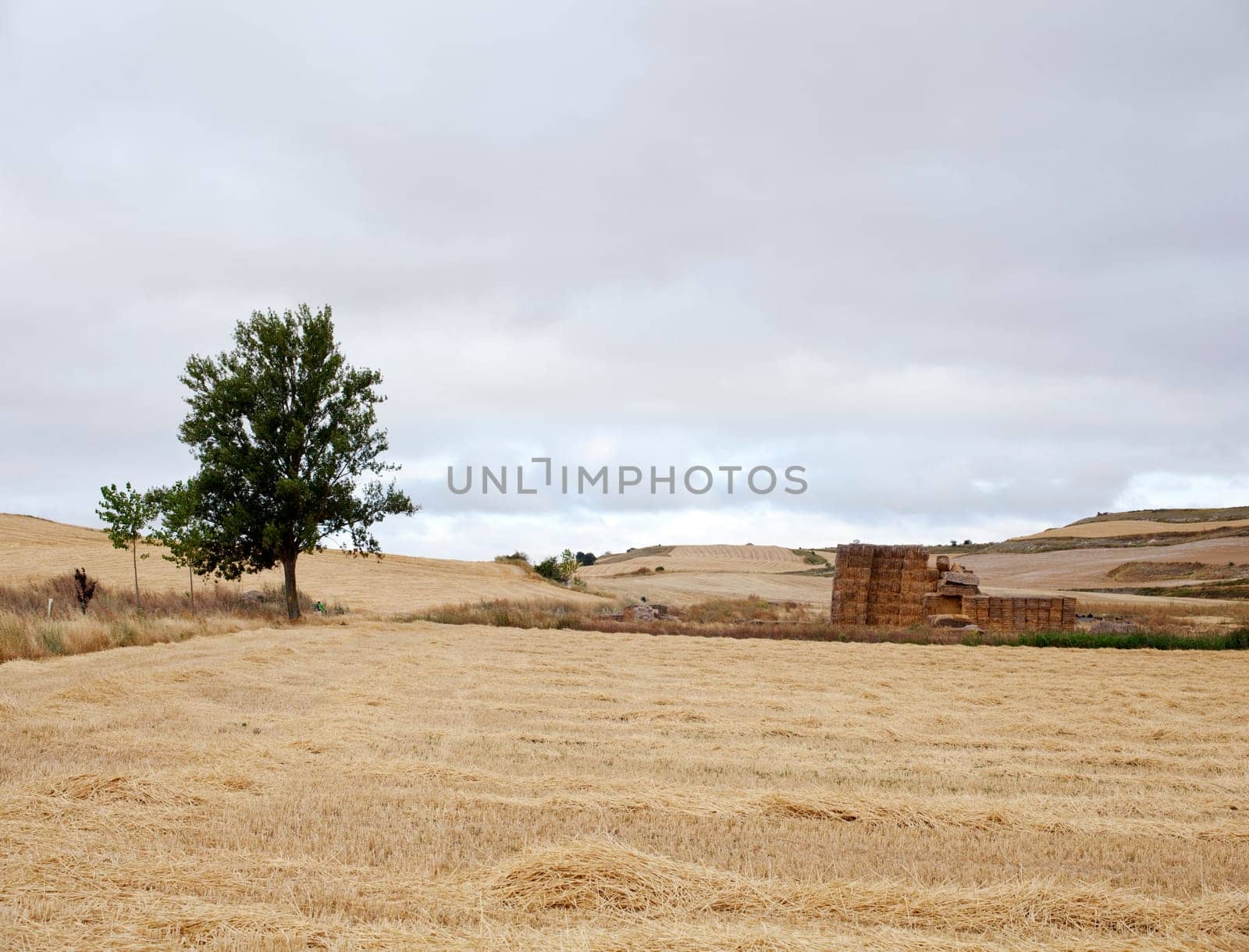 Bales of hay, spanish countryside