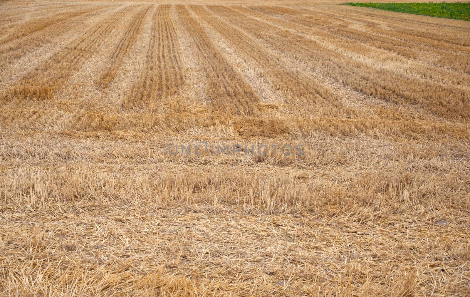 View of spanish countryside