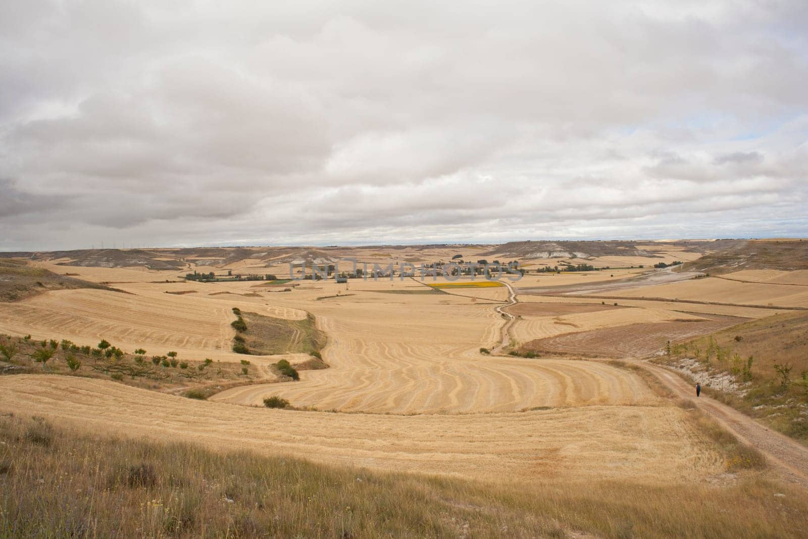 Bales of hay, spanish countryside