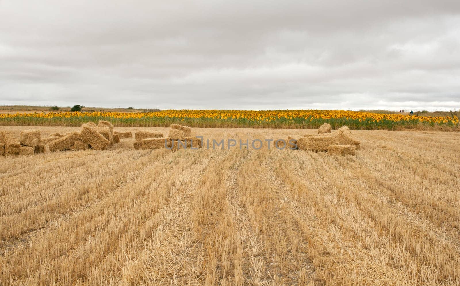 Bales of hay, spanish countryside