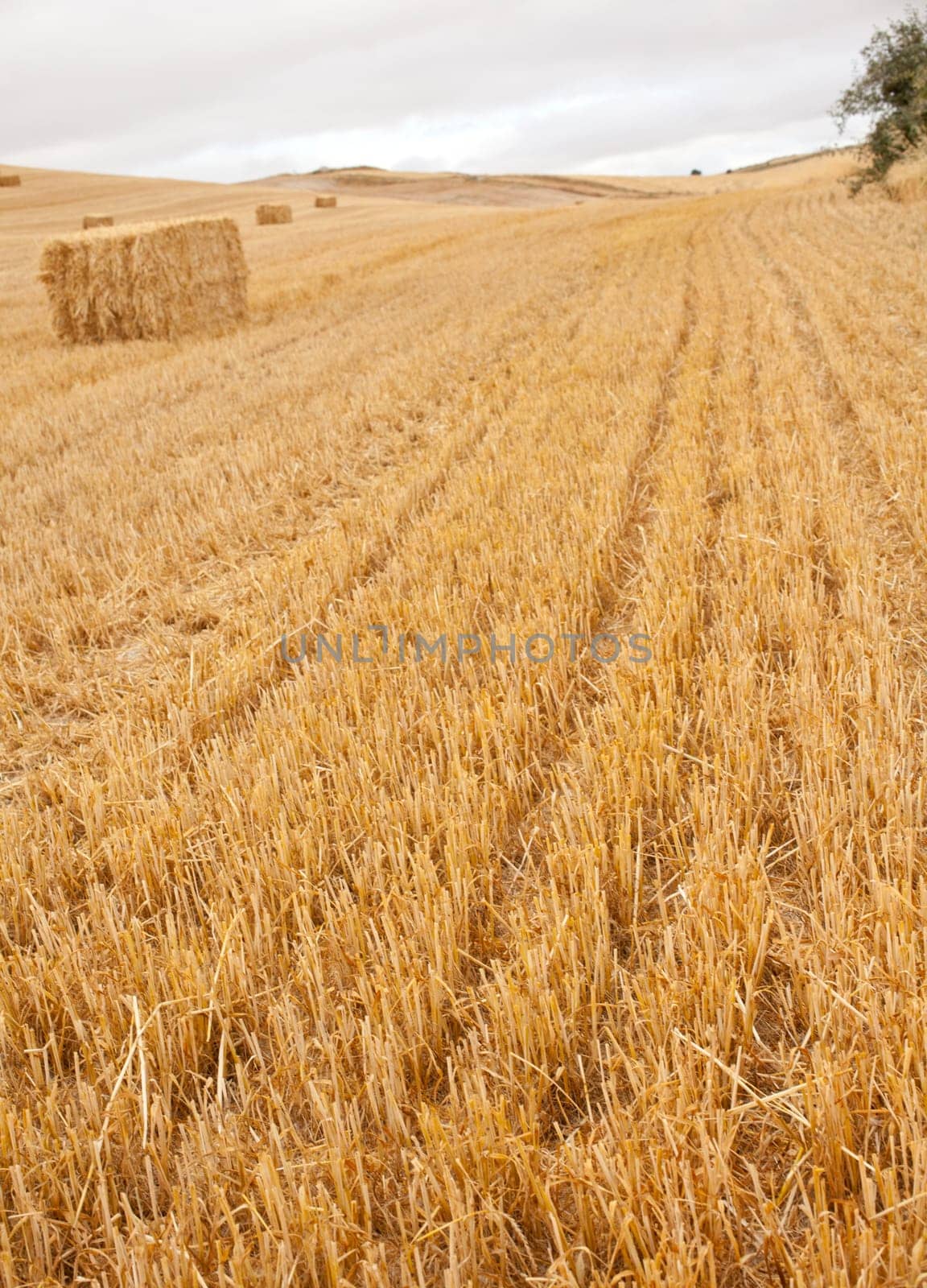 Bales of hay, spanish countryside