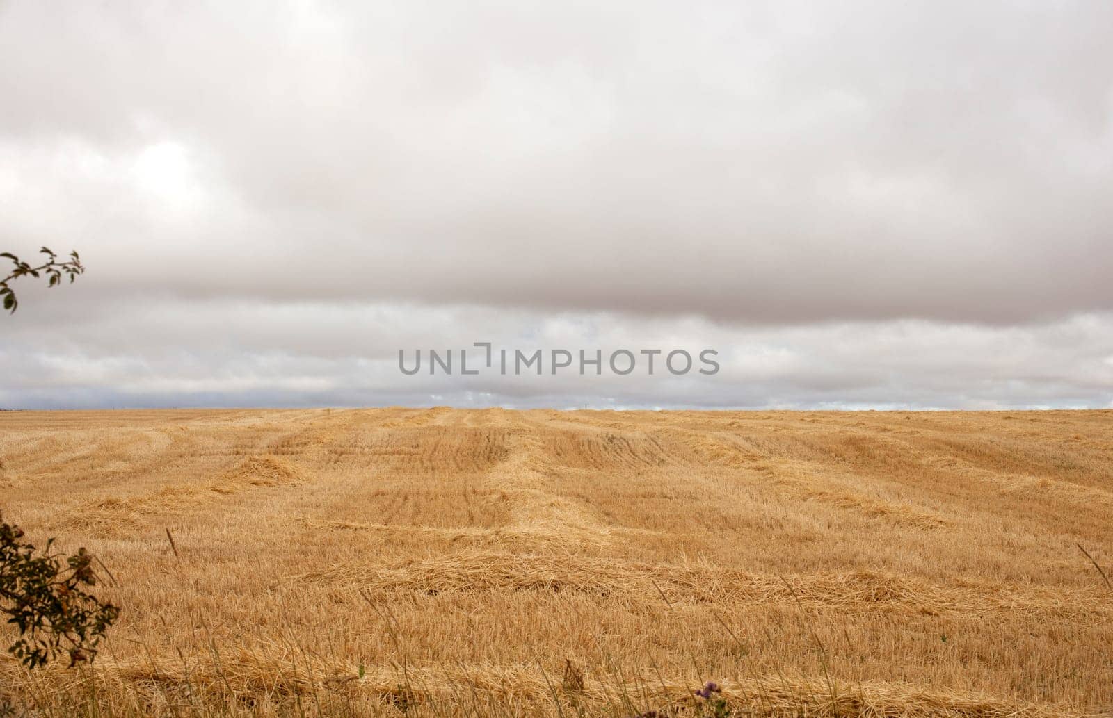 View of spanish countryside