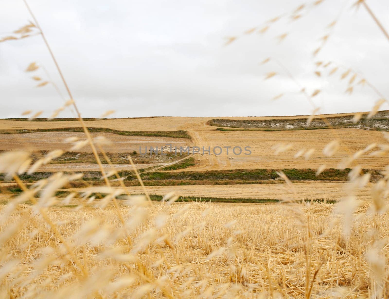 View of spanish countryside
