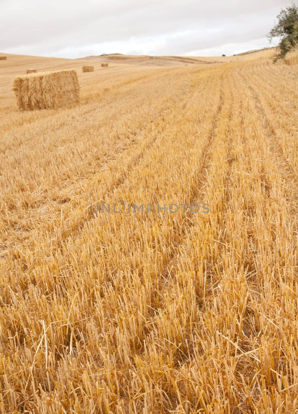 Bales of hay, spanish countryside