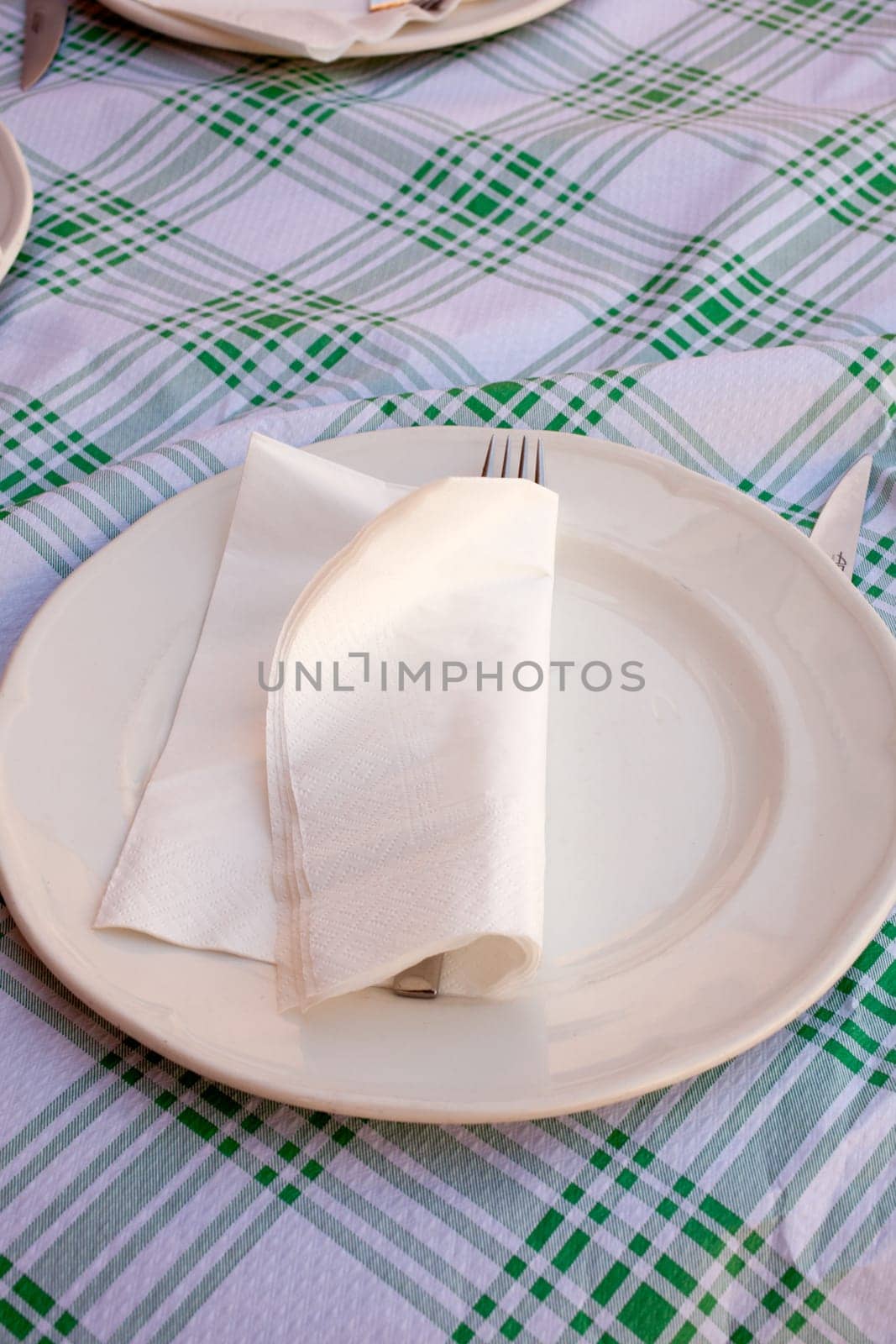 Napkin and fork on the dish in the table