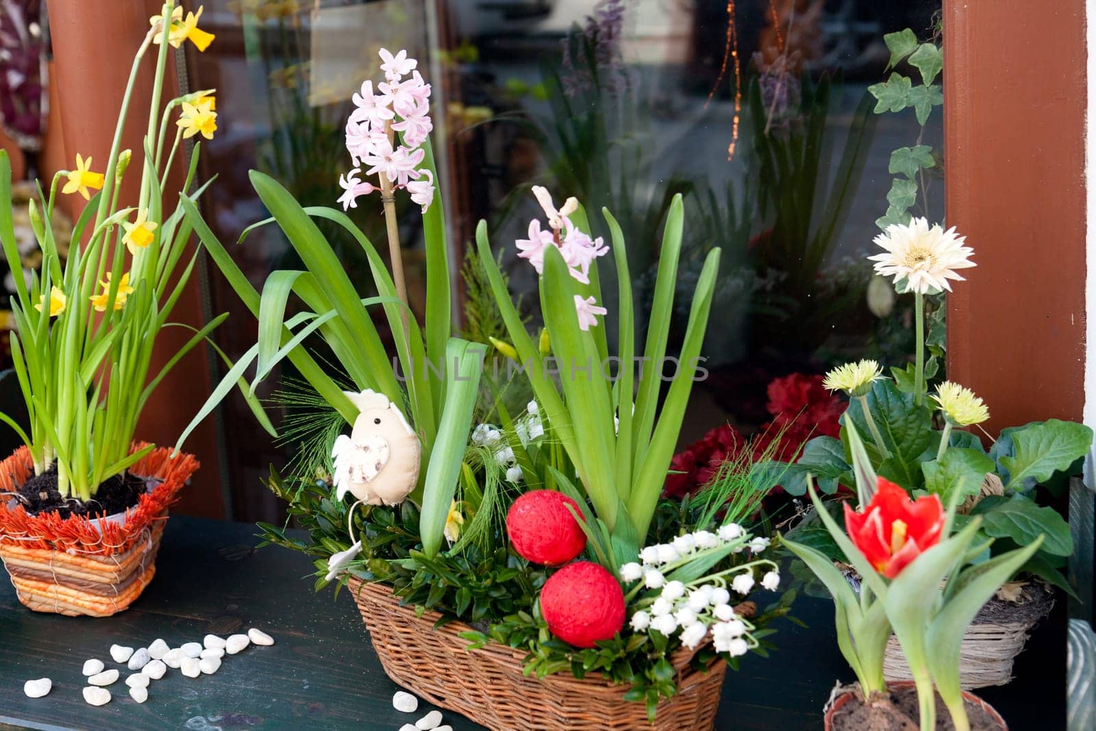 hyacinths and narcissus with happy Easters decoration on a window