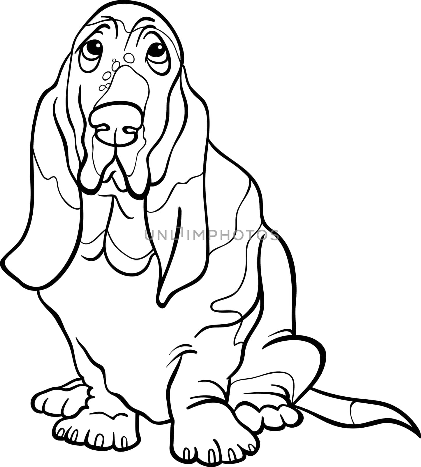Black and White Cartoon Illustration of Cute Basset Hound Purebred Dog for Coloring Book