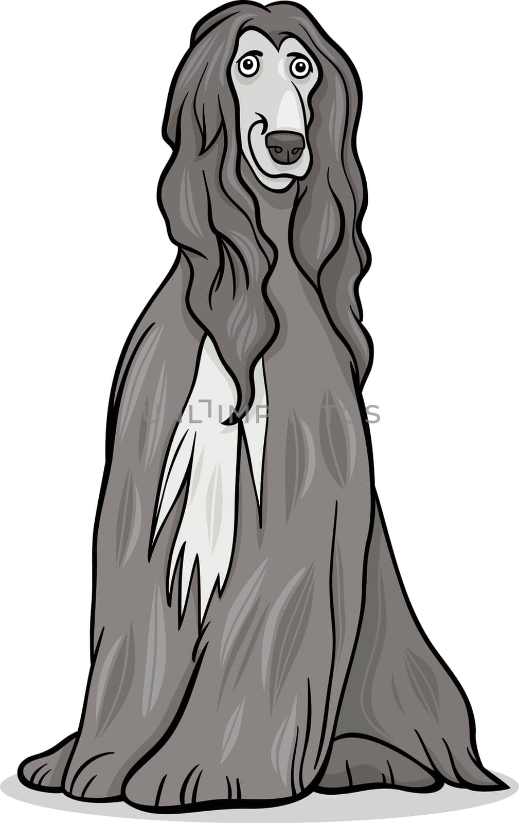 Cartoon Illustration of Cute Afghan Hound Purebred Dog