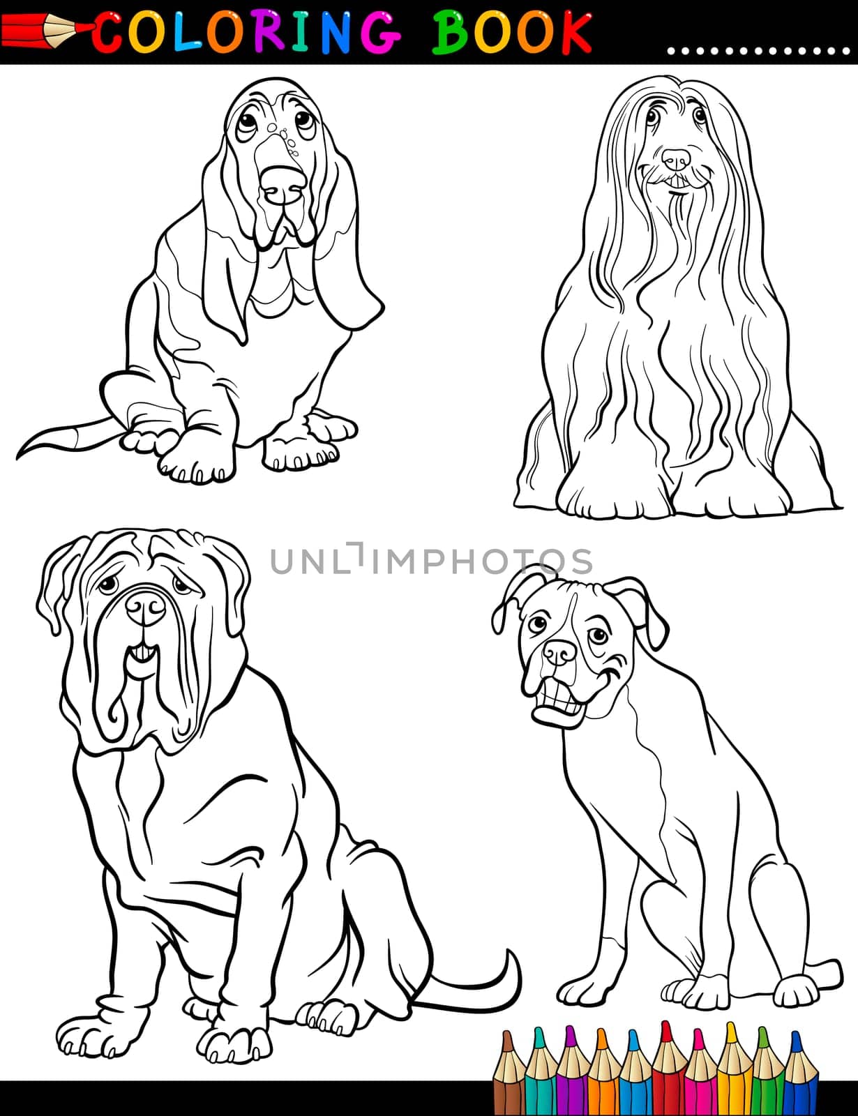 Coloring Book Black and White Cartoon Illustration of Cute Purebred Dogs