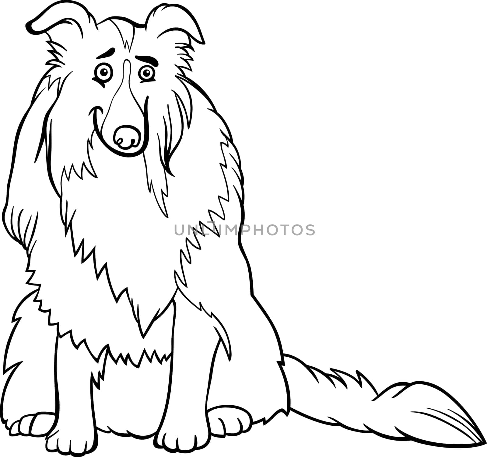 Black and White Cartoon Illustration of Funny Collie Purebred Dog for Coloring Book