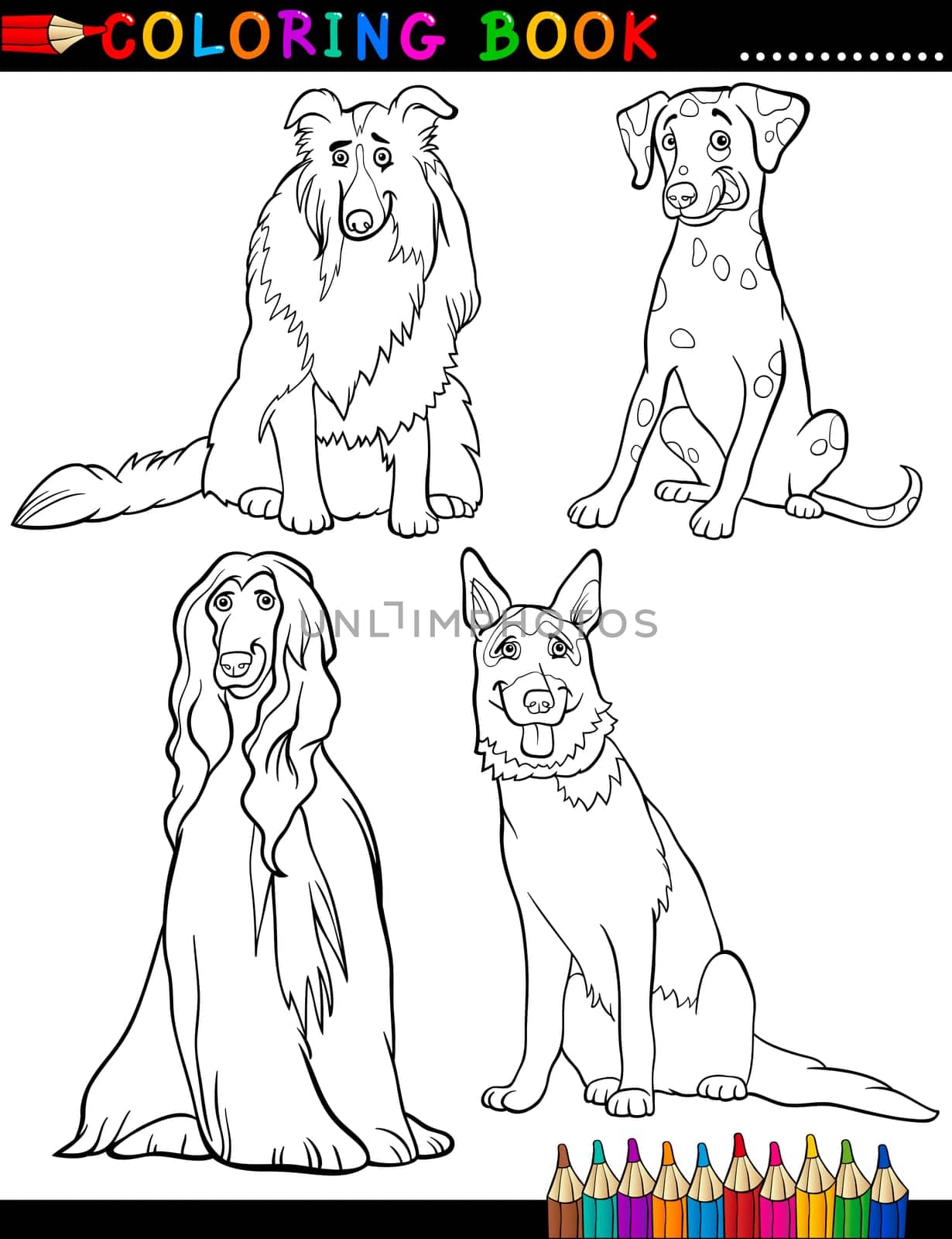 Coloring Book Black and White Cartoon Illustration of Cute Purebred Dogs