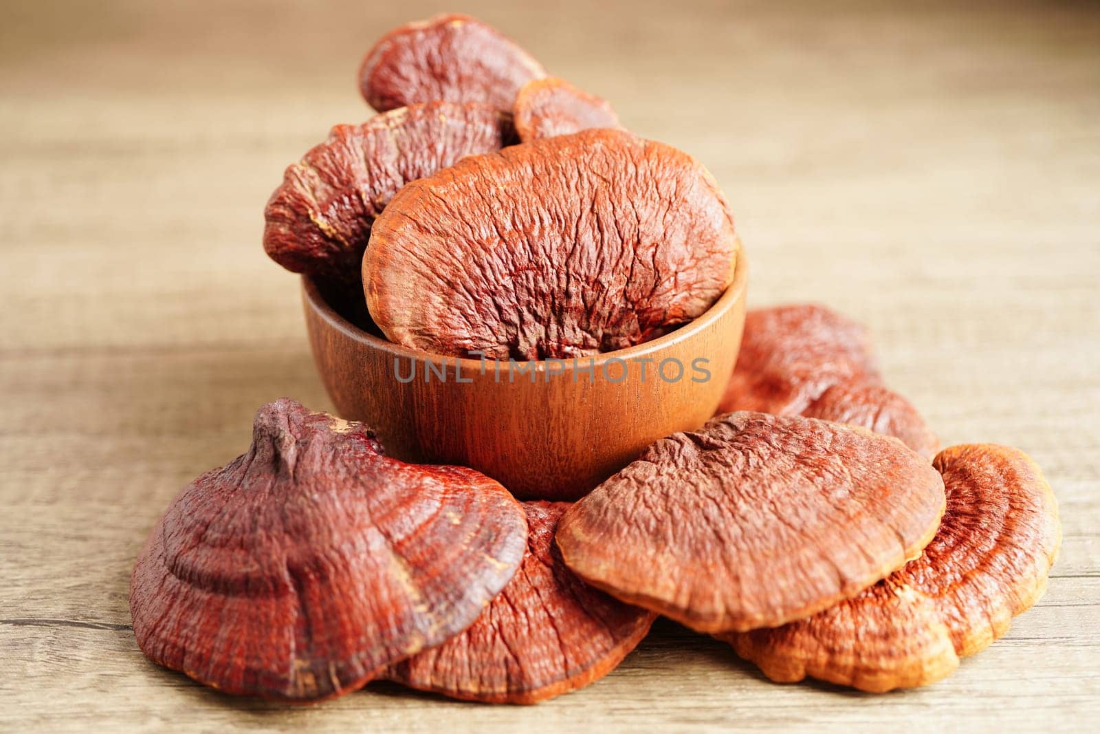 Lingzhi or Reishi mushroom with capsules, organic natural healthy food.