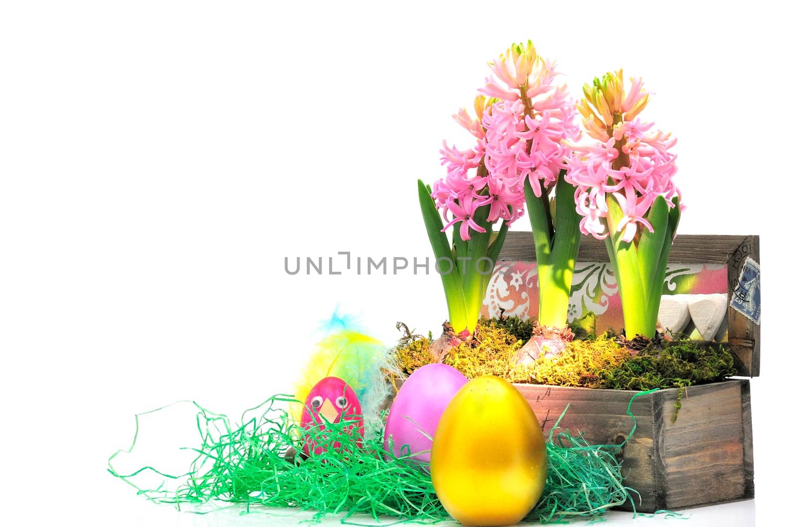 Easter hyacinths