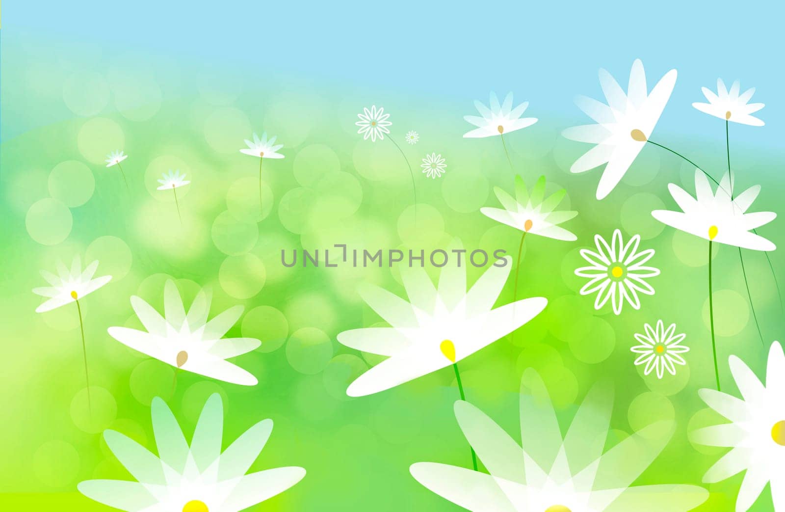 Daisies on a sunny meadow