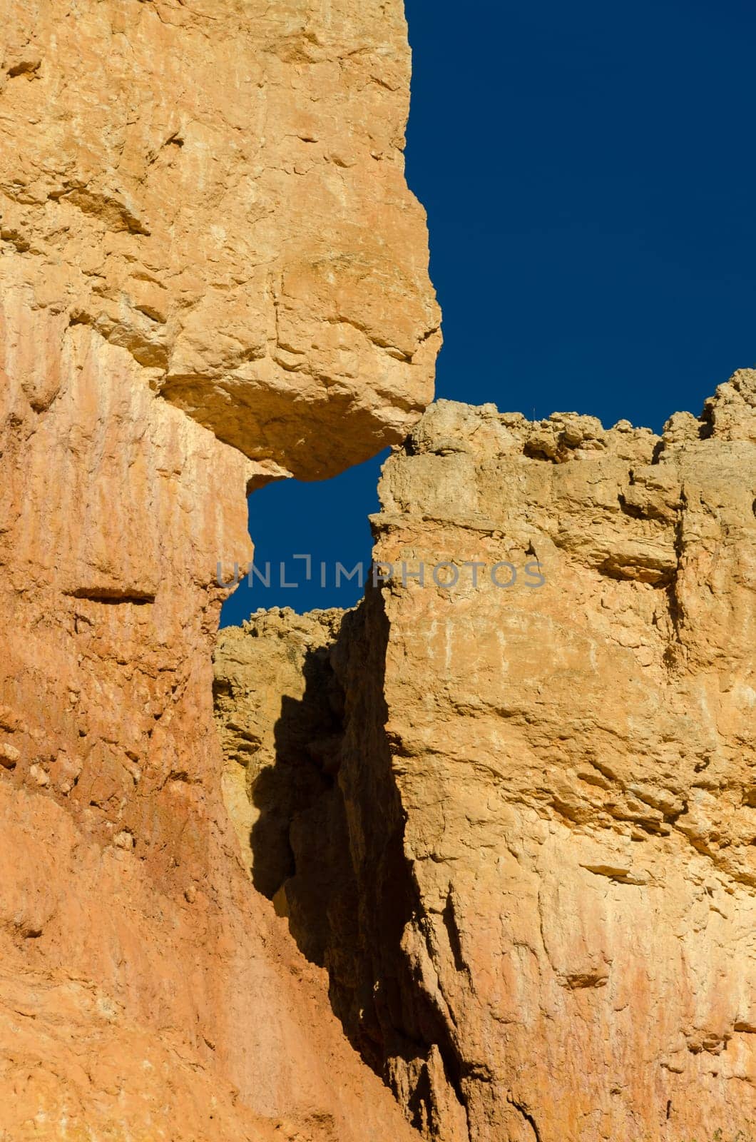 landscape in Bryce Canyon National Park in Utah in the United States of America