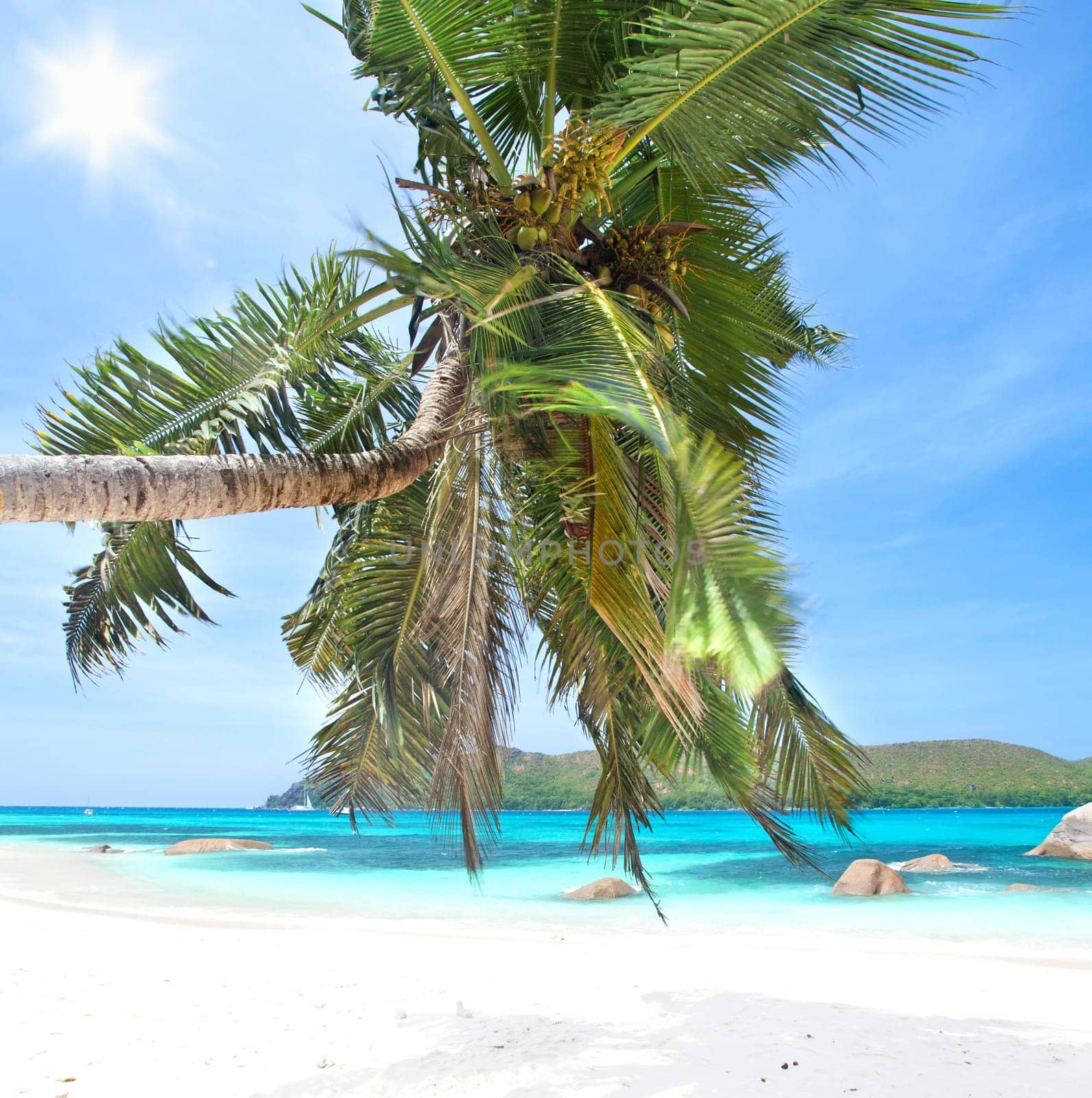 Sunshine at Anse Boudin