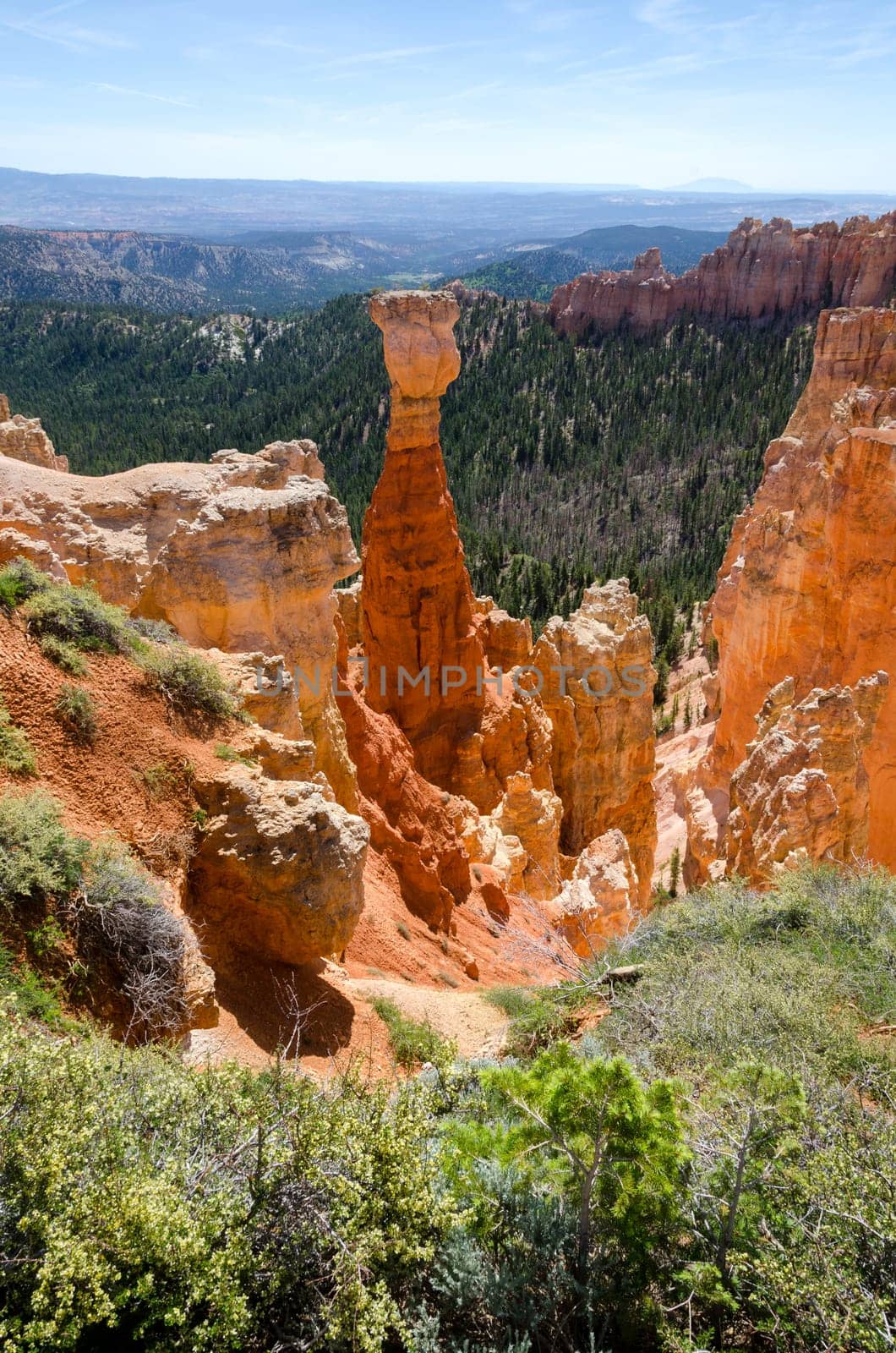 Bryce Canyon National Park in Utah in the United States of America
