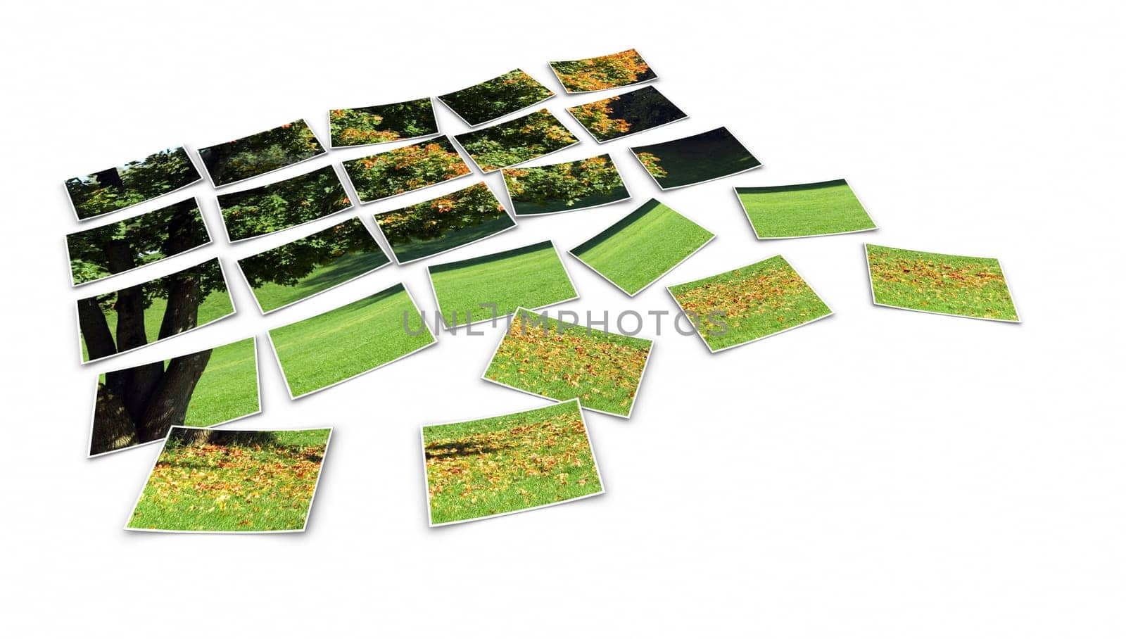 Photo Puzzle - Sunny Autumn