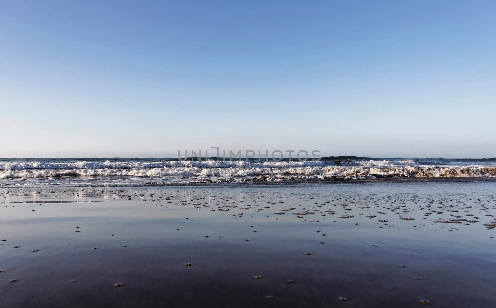 Beachview background
