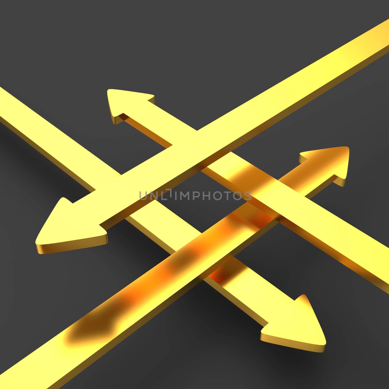 4 Way Gold Arrow Concept