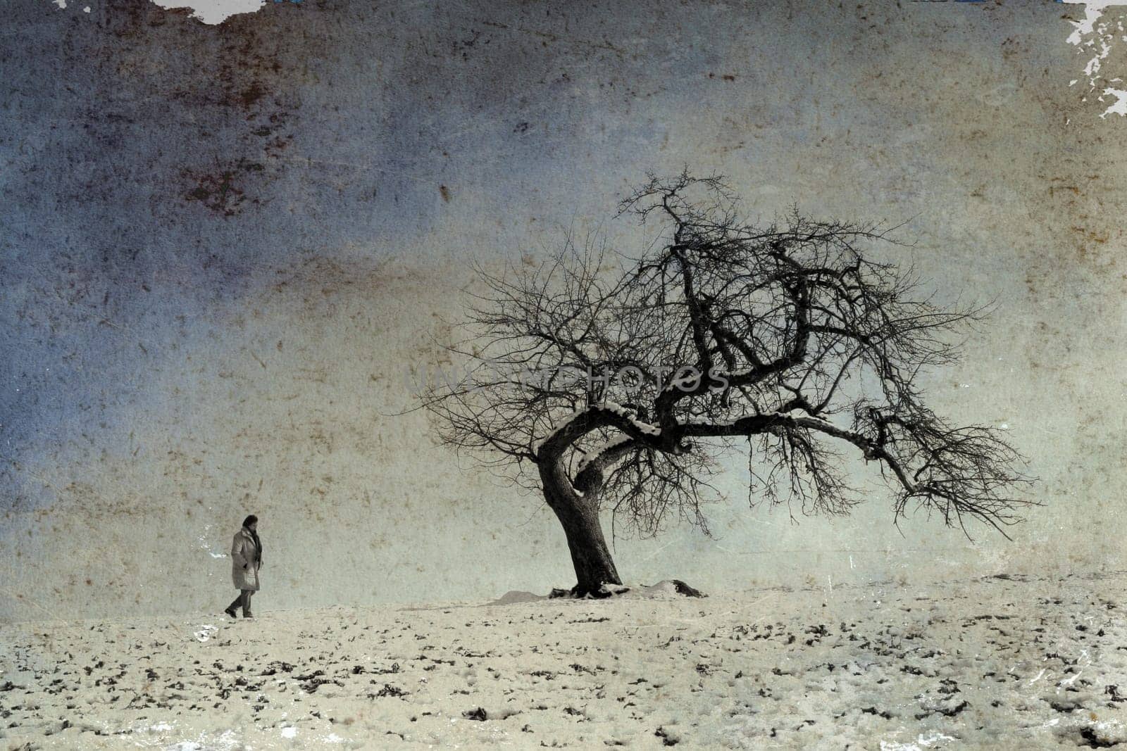 Winter walk