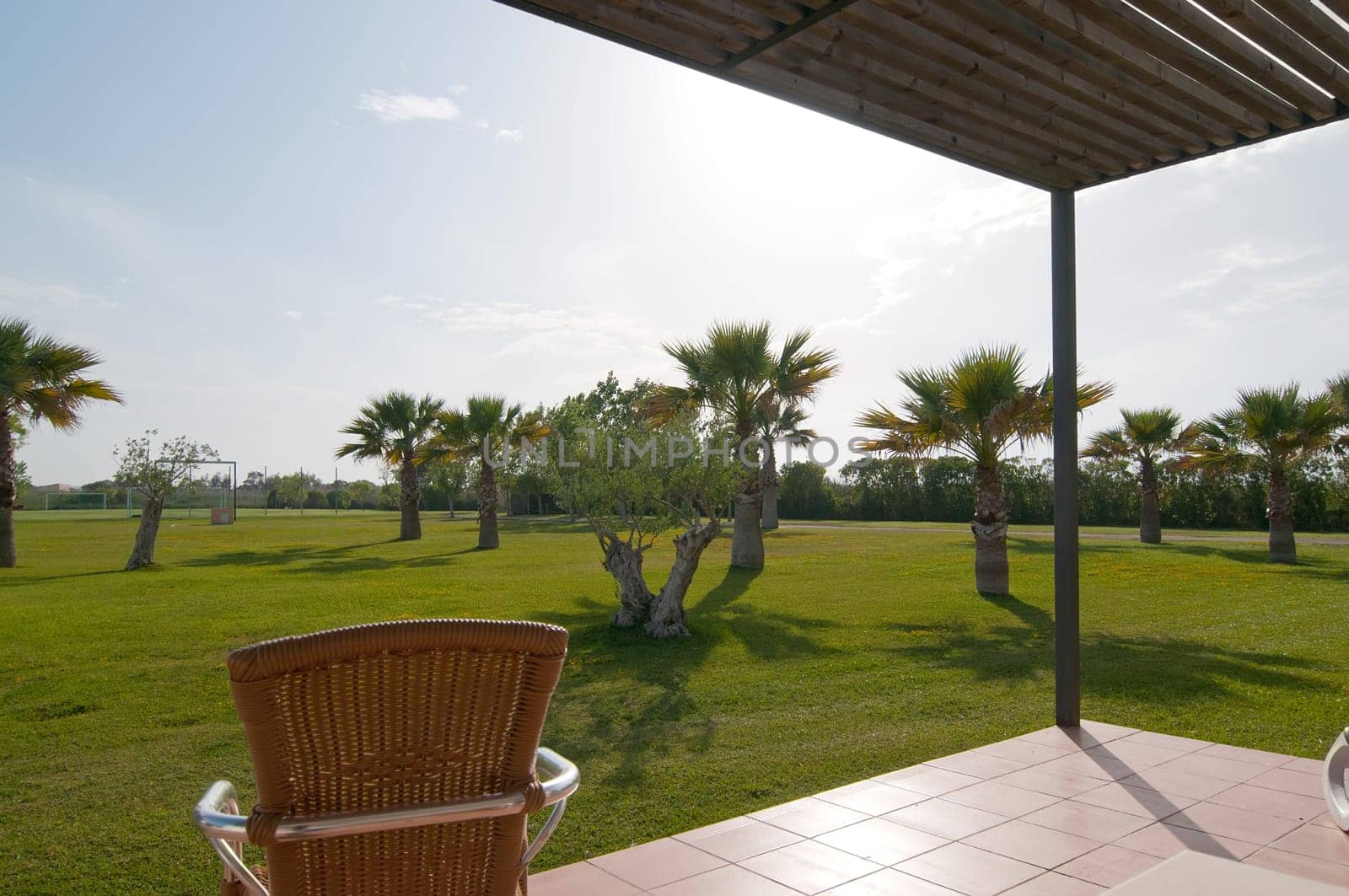 Shot of view from terrace on palm park