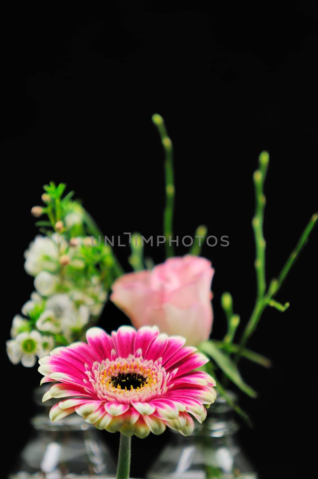 Spring greeting
