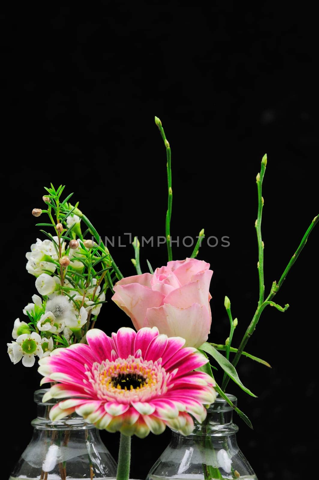 Spring greeting