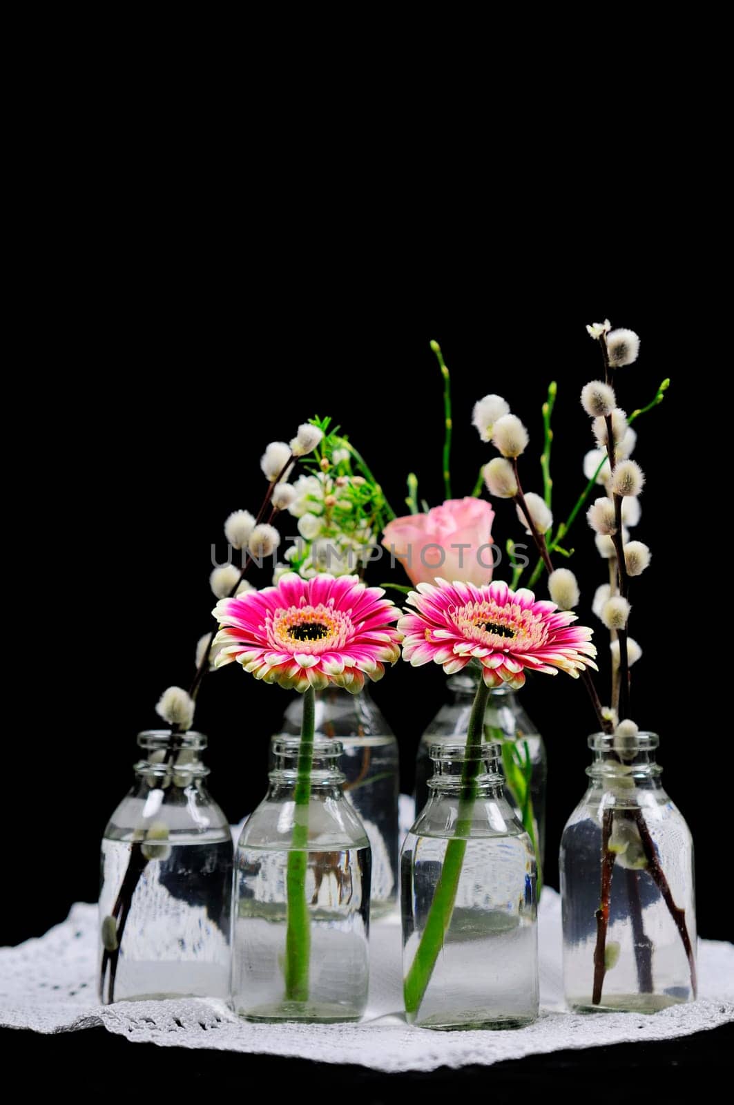 Spring greeting