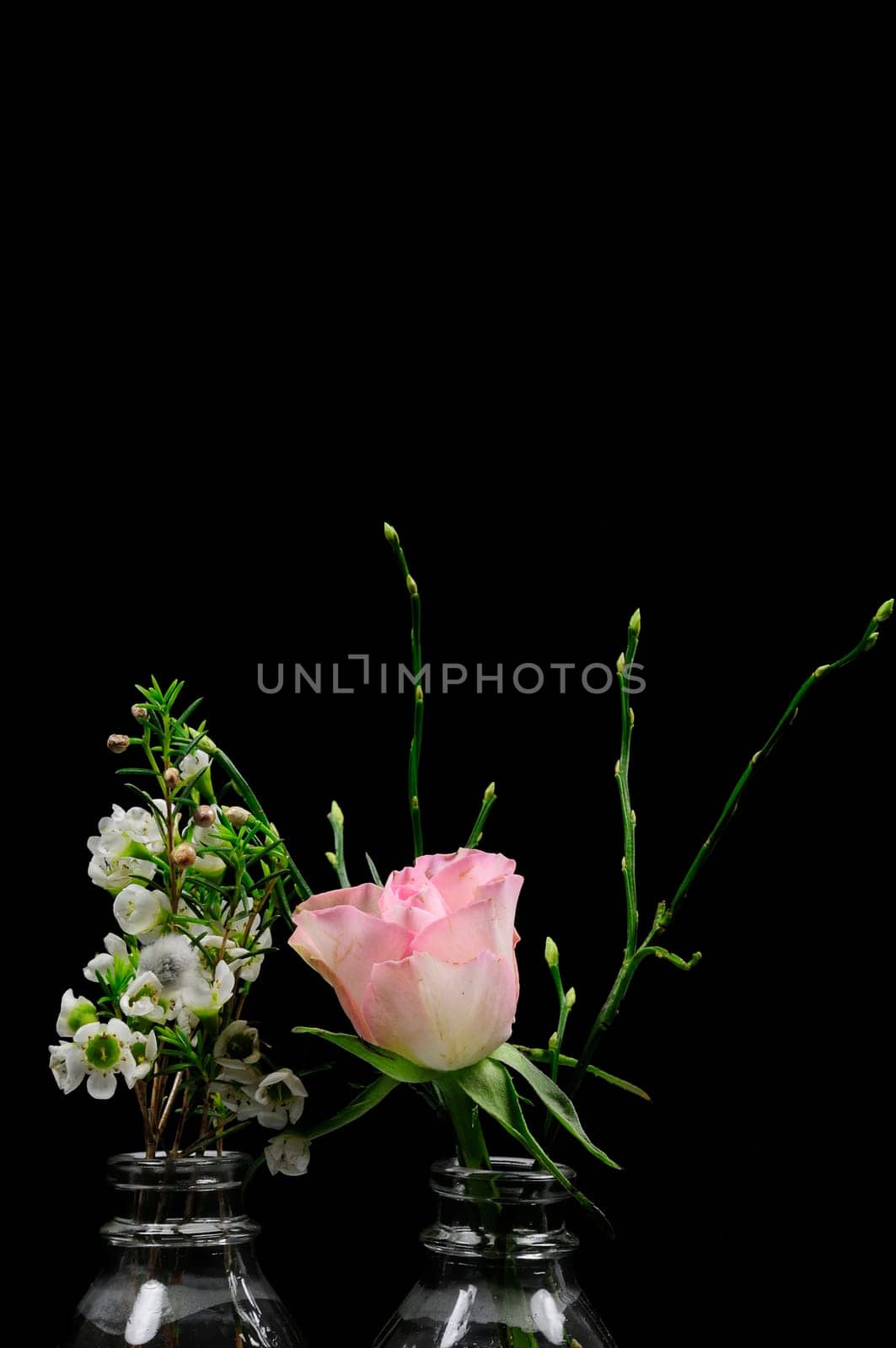 Spring greeting