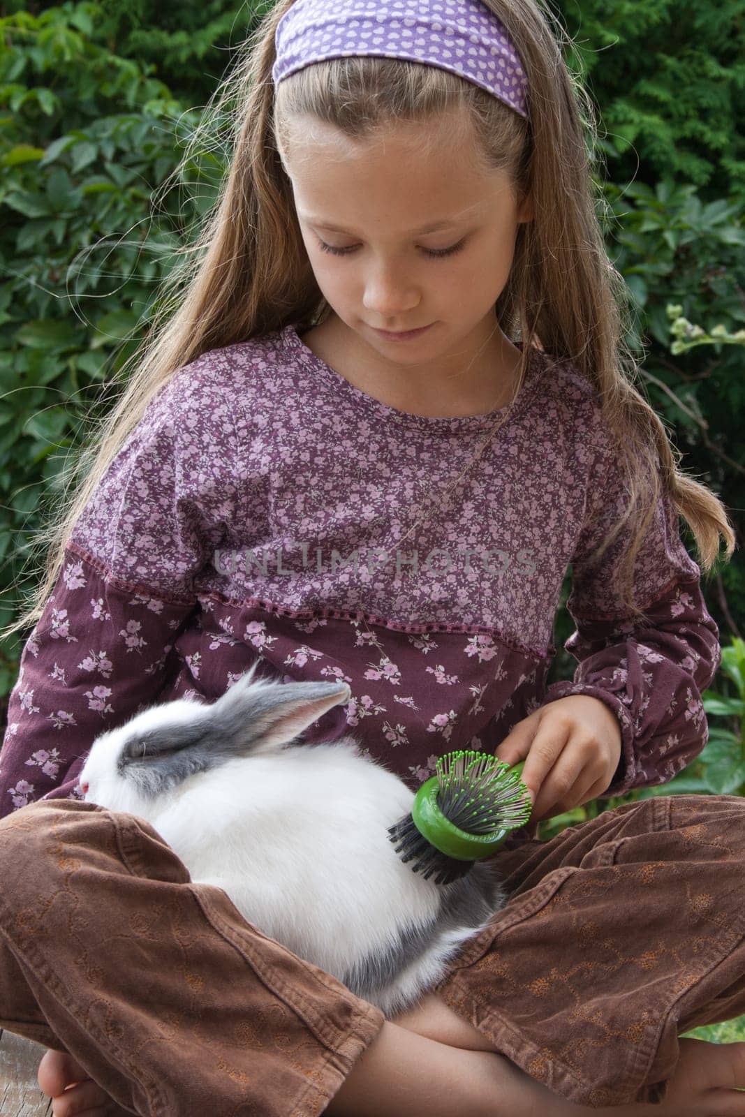 my rabbit