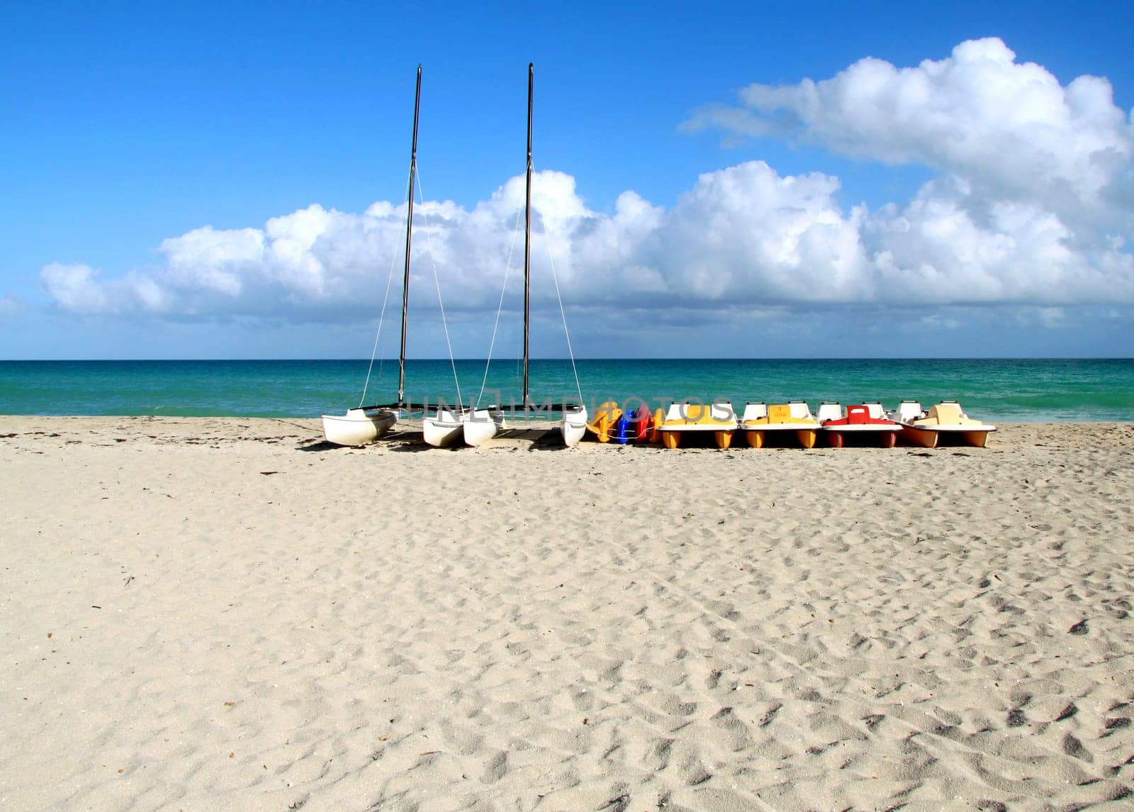 Landscape on the shores of the Atlantic Ocean