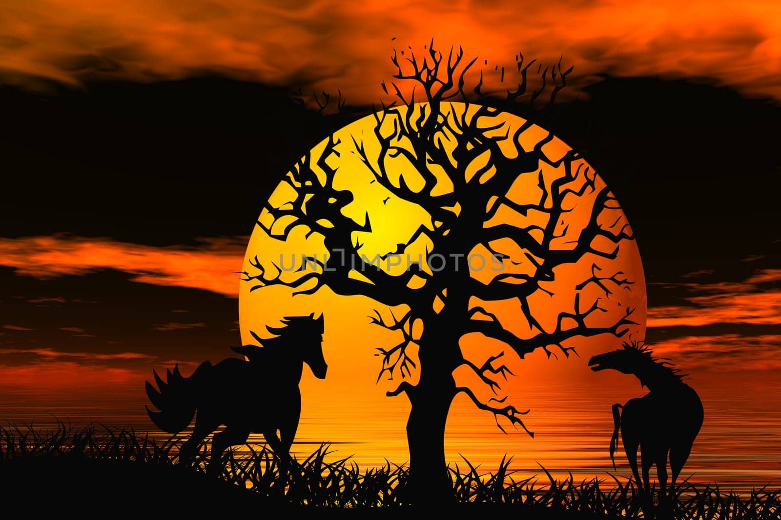 Wild horses
