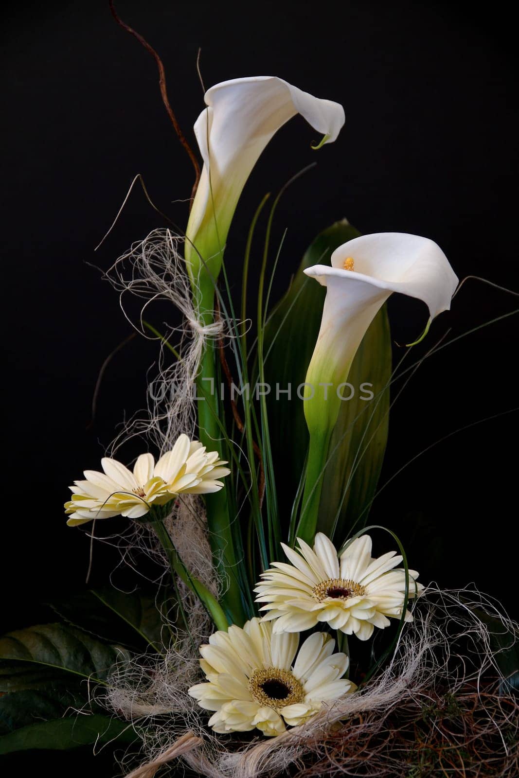 Calla and Gerberea