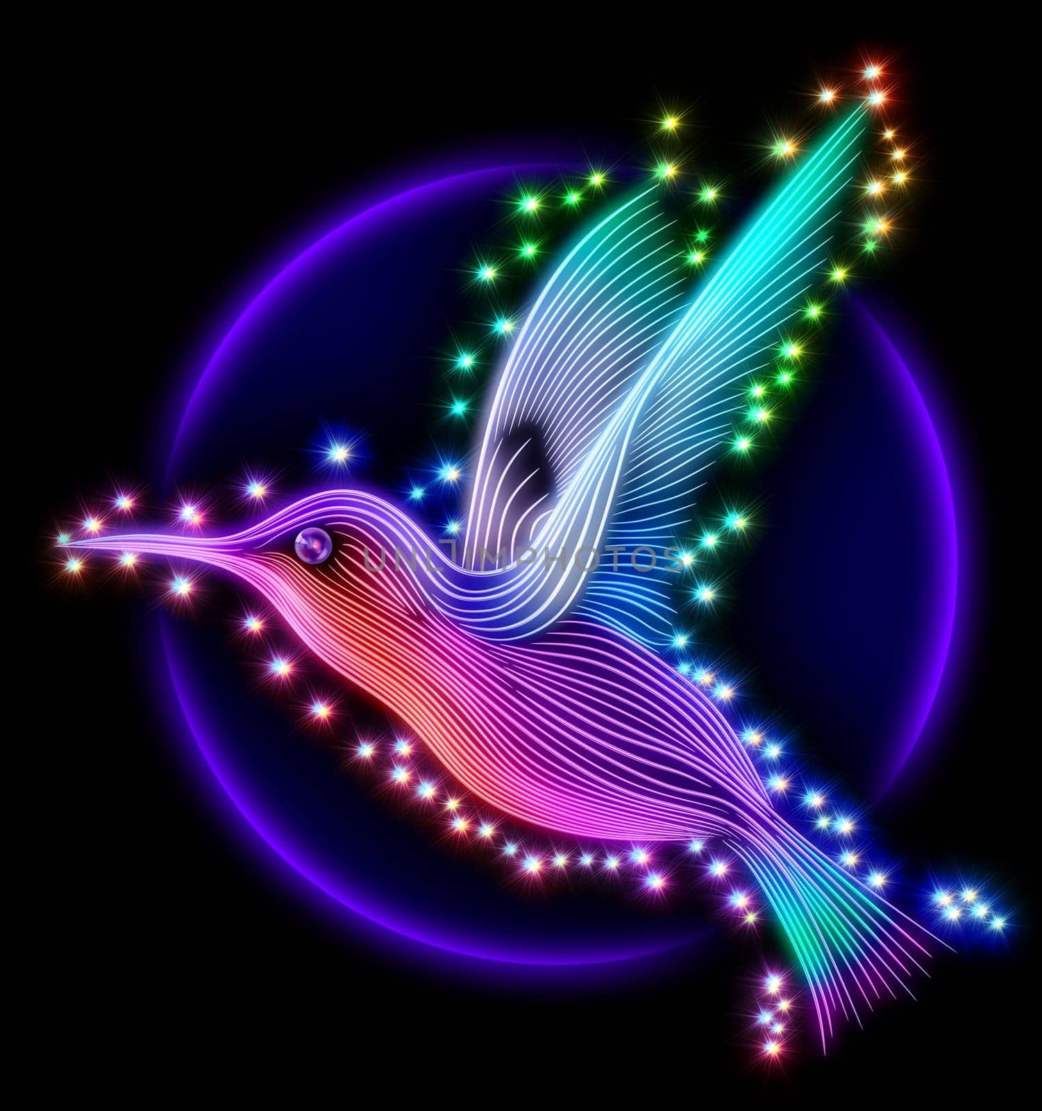 3d render of colibri bird - hummingbird striped silhouette with stars