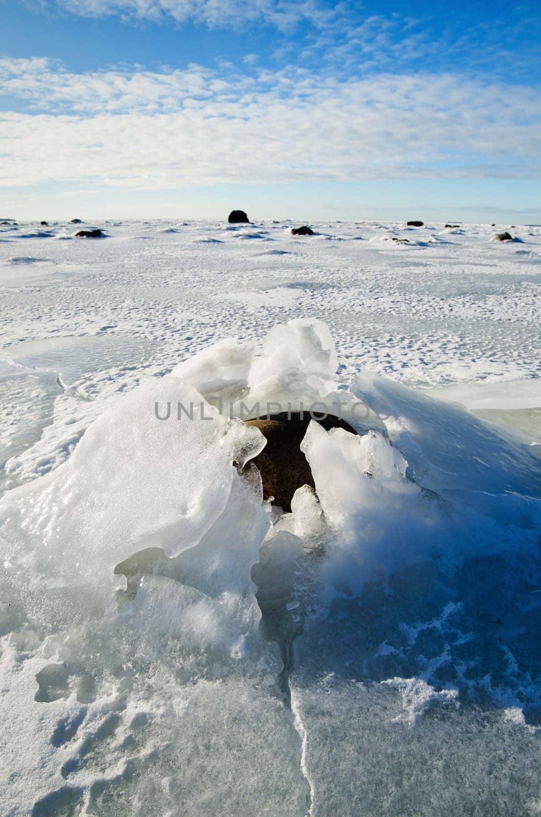 Stones in the ice on the Baltic Sea coast