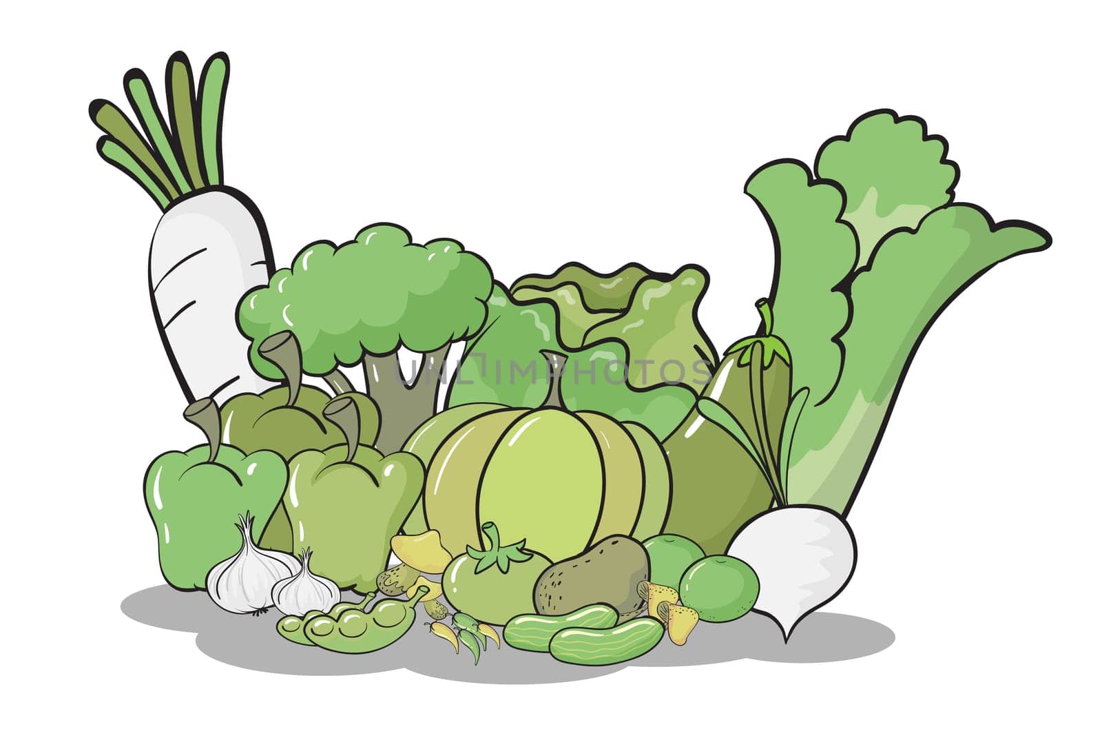 illustration of  various vegetables on a white background