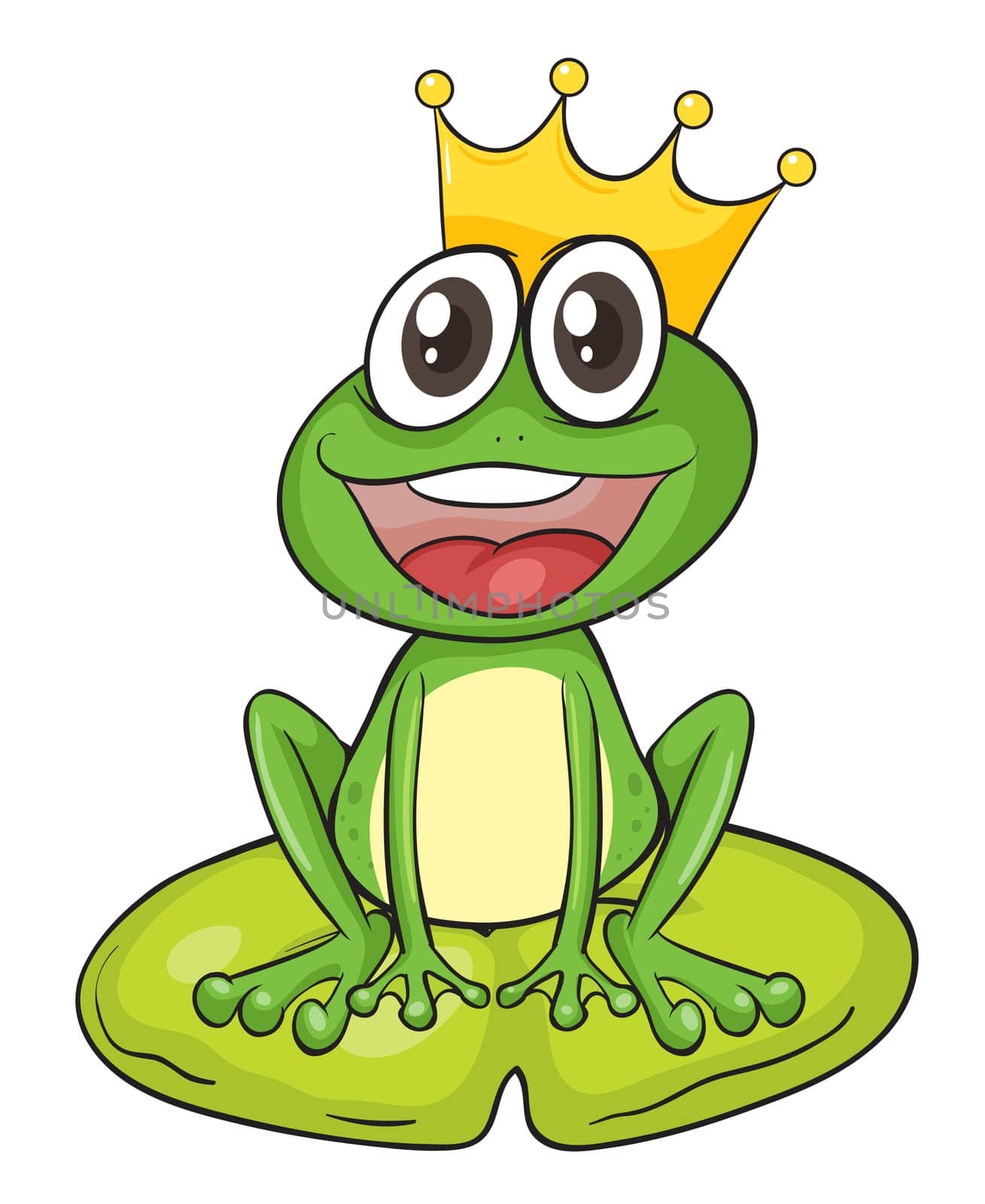 illustration of a frog on a white background