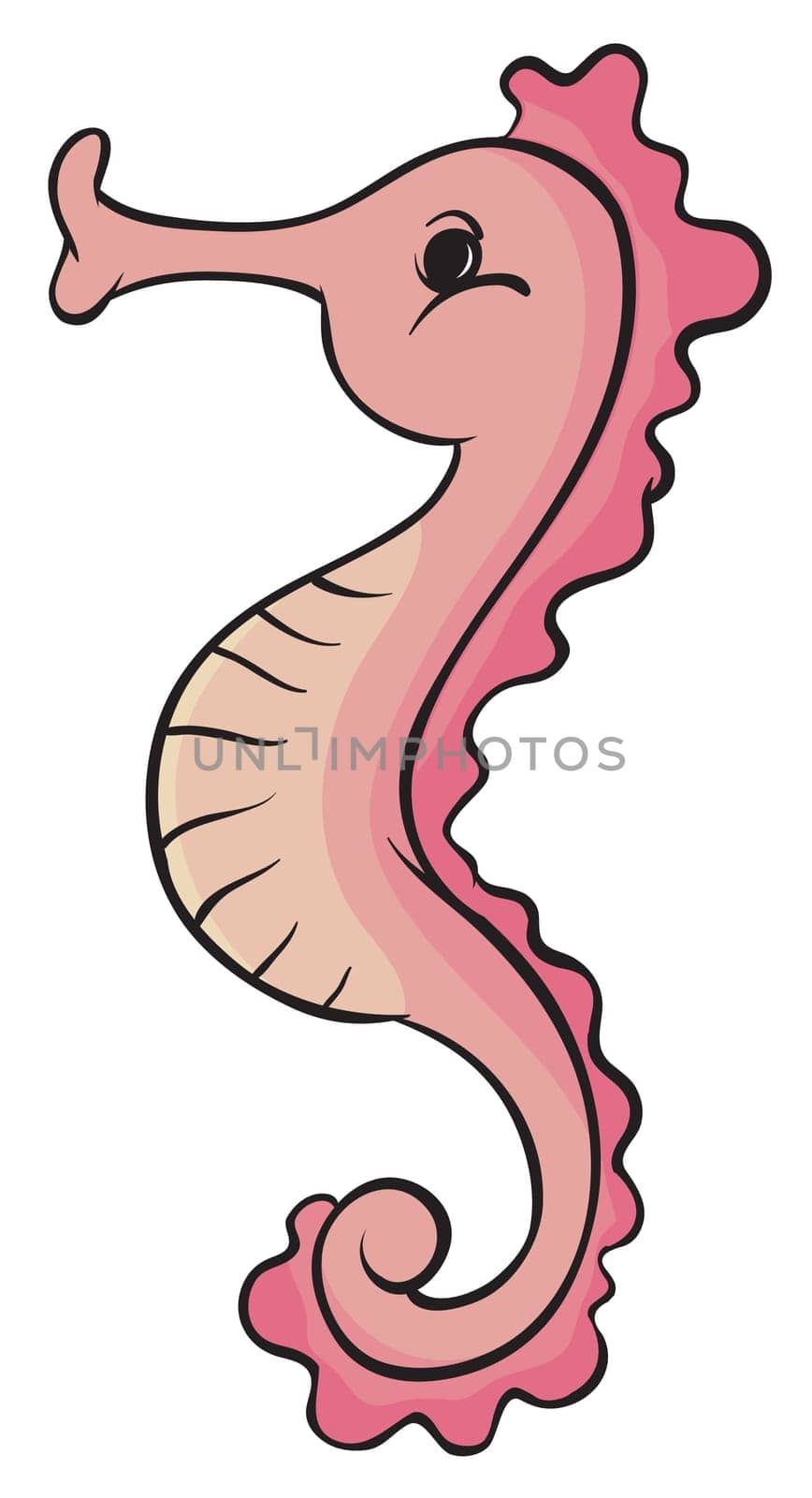 illustration of a seahorse on a white background