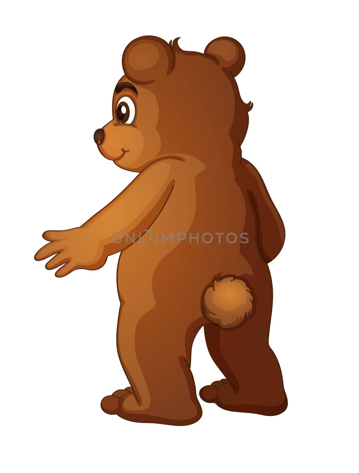 Brown bear on a white background