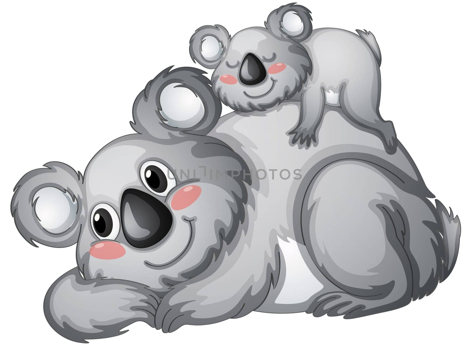 illustration of a koala bear on a white backgroundbackground